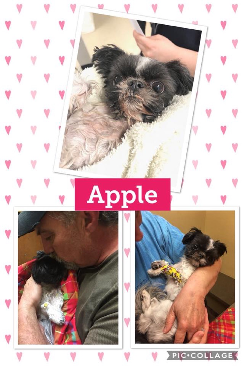 Sweet Apple